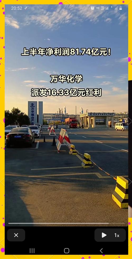 萬華化學(xué)集團(tuán)股票，萬華化學(xué)股份股票分紅